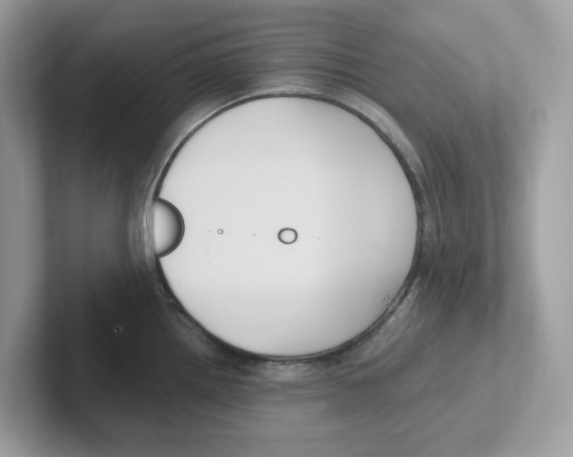 X0000100941242200807221151