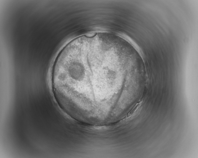 X0000100941243200807221151