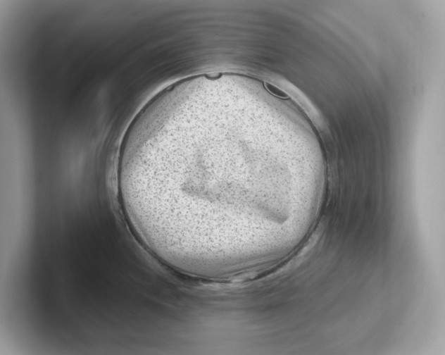 X0000100941244200807221151