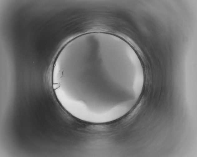 X0000100941246200807221151