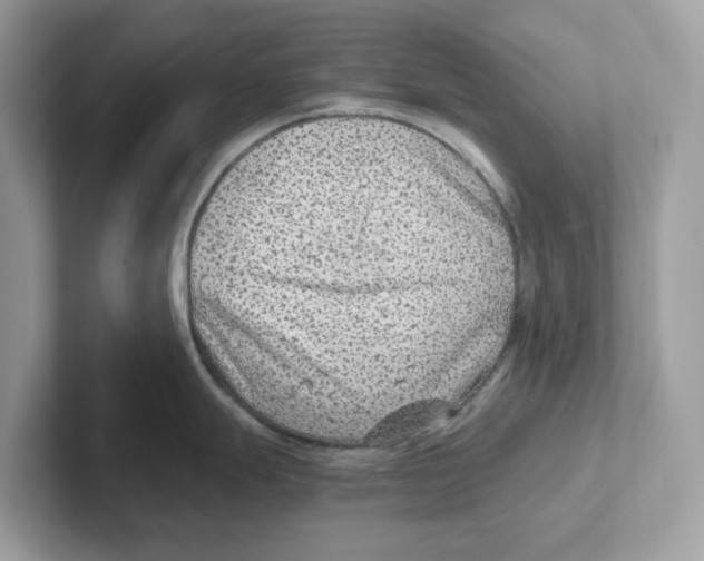 X0000100941247200807221151