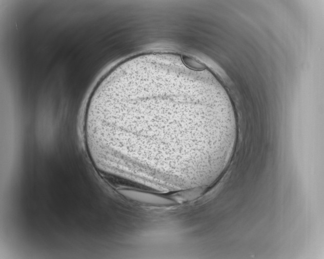 X0000100941248200807221151