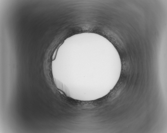 X0000100941249200807221150