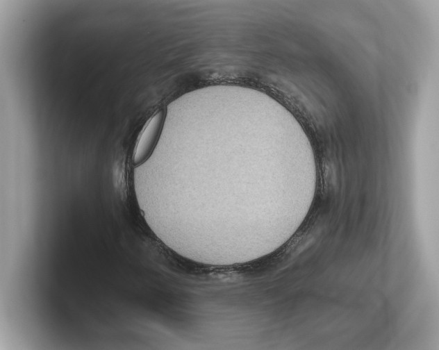 X0000100941250200807221150