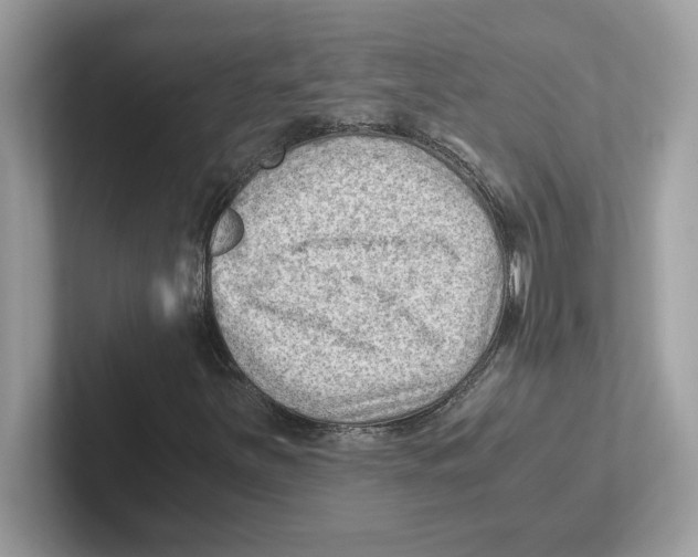 X0000100941251200807221150