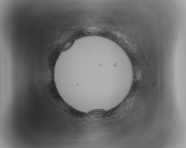 X0000100941253200807221150