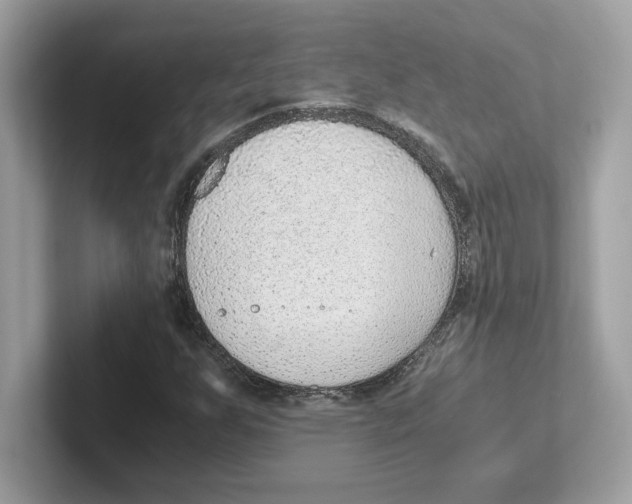 X0000100941255200807221150