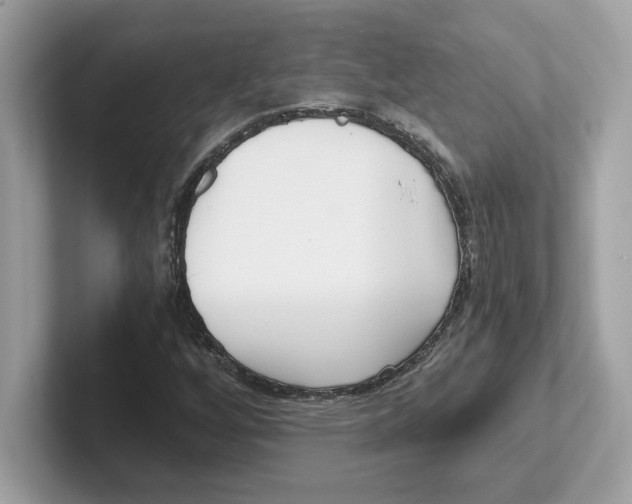 X0000100941256200807221150