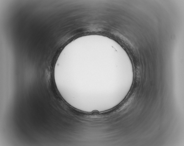 X0000100941257200807221150