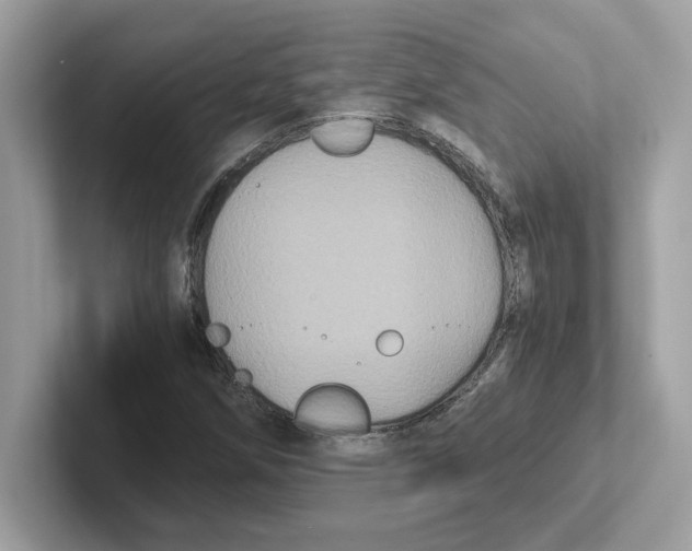 X0000100941258200807221150