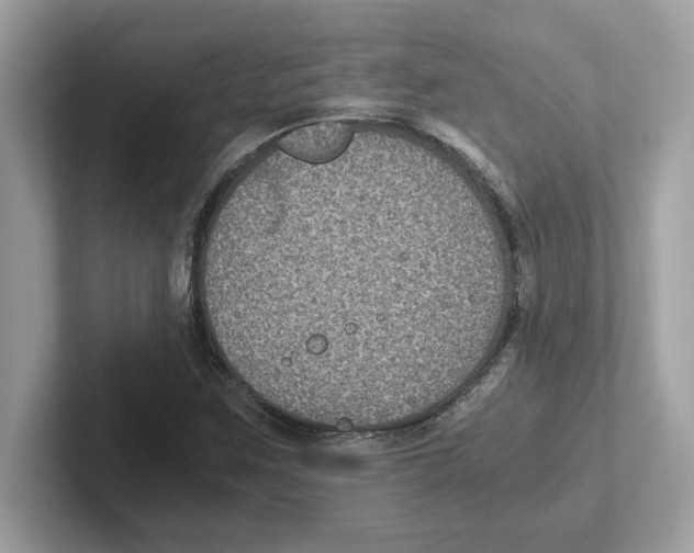 X0000100941259200807221150