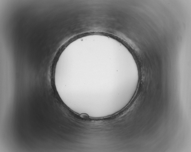 X0000100941264200807221150