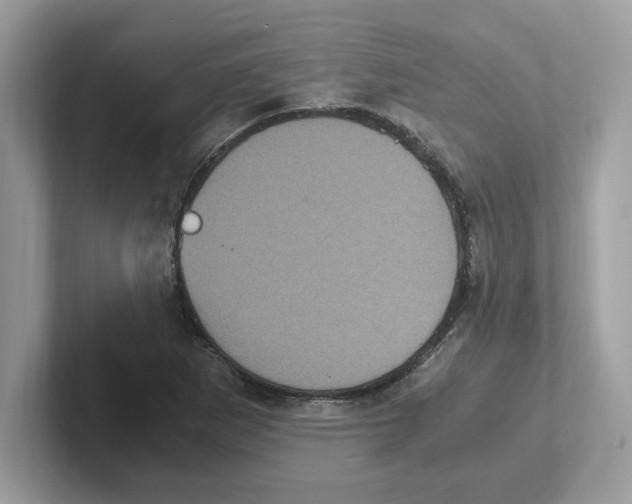 X0000100941265200807221150