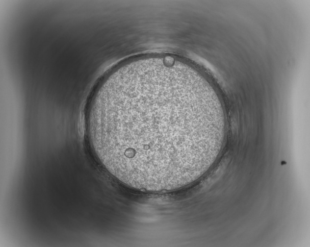 X0000100941267200807221150