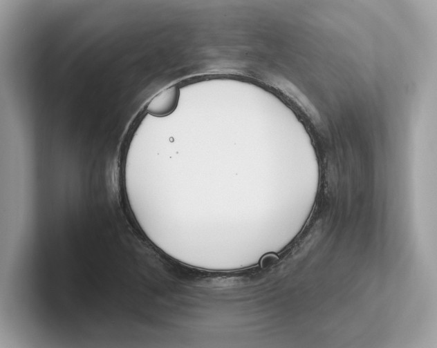 X0000100941268200807221150