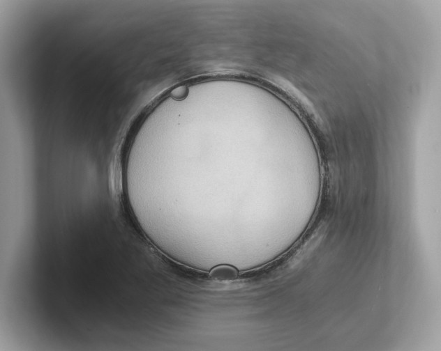 X0000100941269200807221150