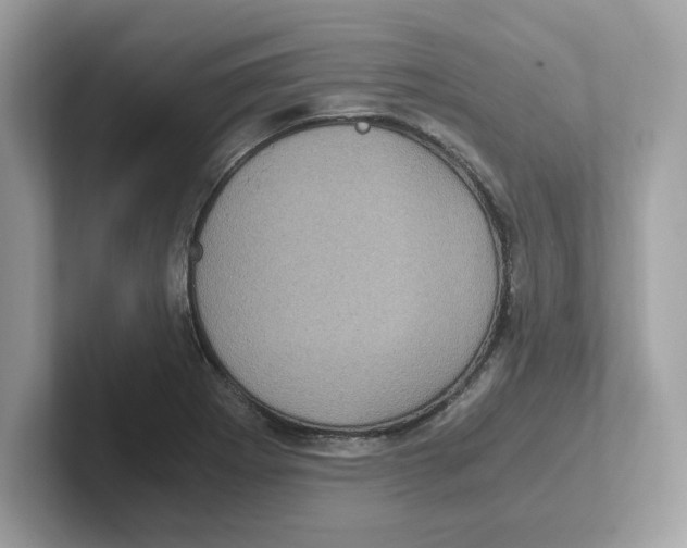 X0000100941273200807221150