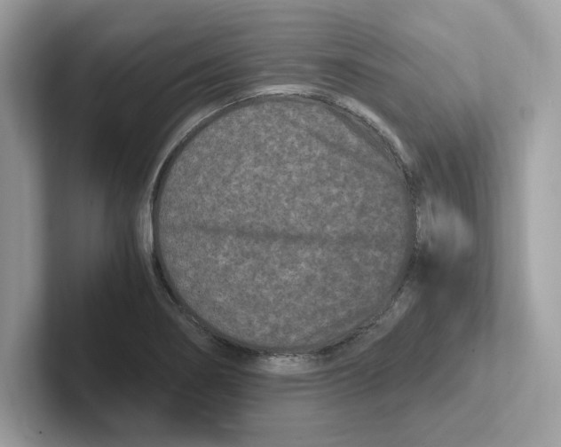 X0000100941274200807221150