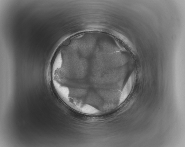 X0000100941275200807221150