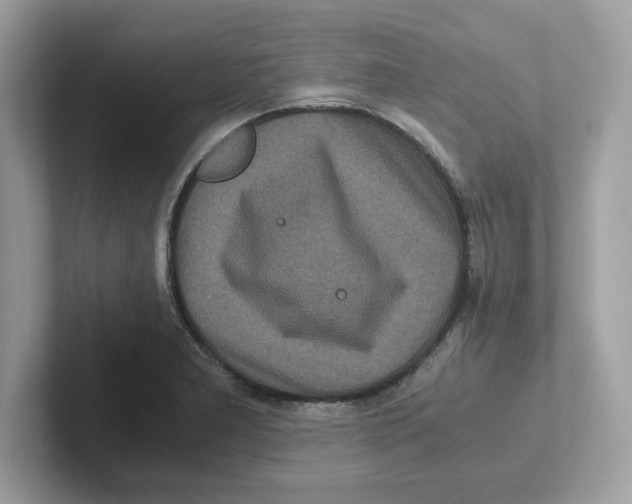 X0000100941277200807221150