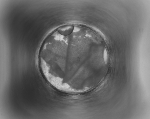 X0000100941279200807221150