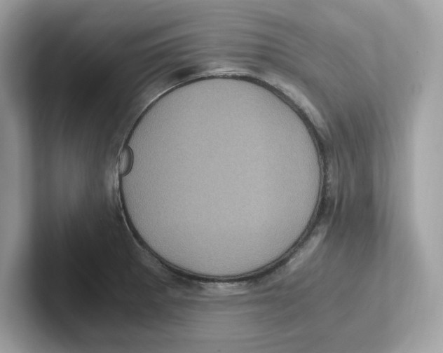 X0000100941281200807221150