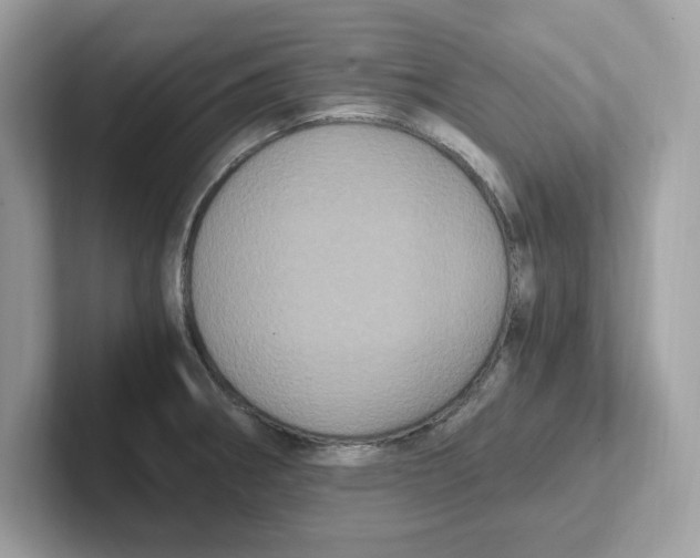 X0000100941282200807221150