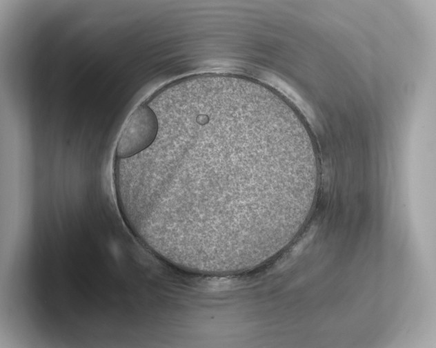 X0000100941283200807221150