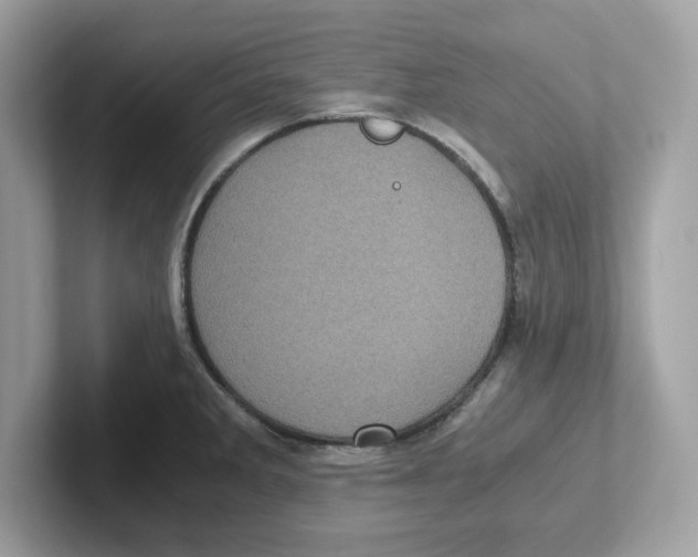 X0000100941285200807221150