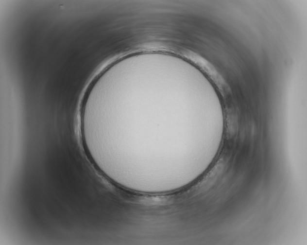 X0000100941286200807221150