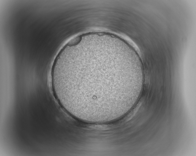 X0000100941287200807221150