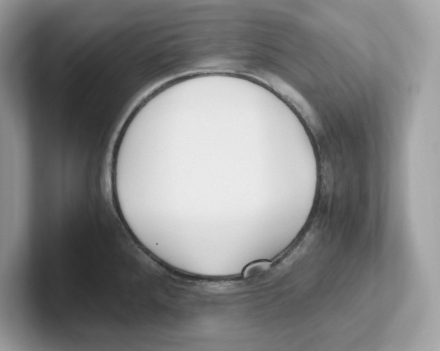 X0000100941288200807221150