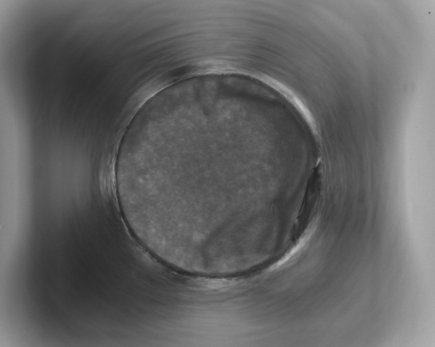 X0000100941289200807221150