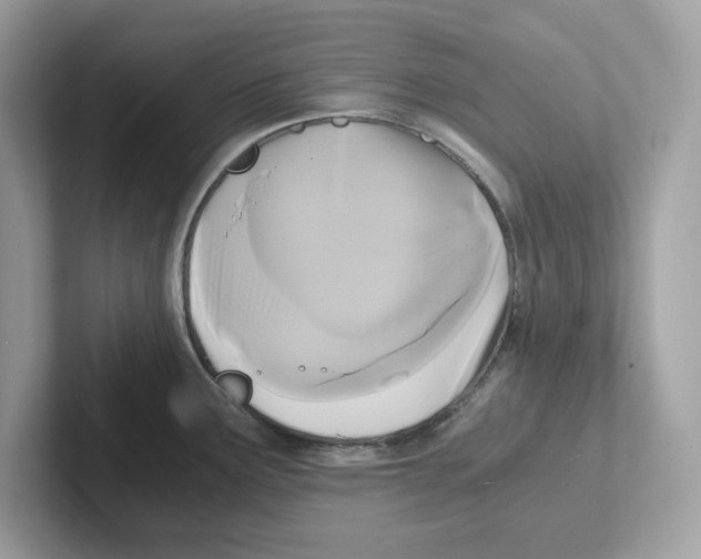 X0000100941291200807221150