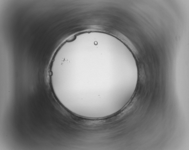 X0000100941292200807221150