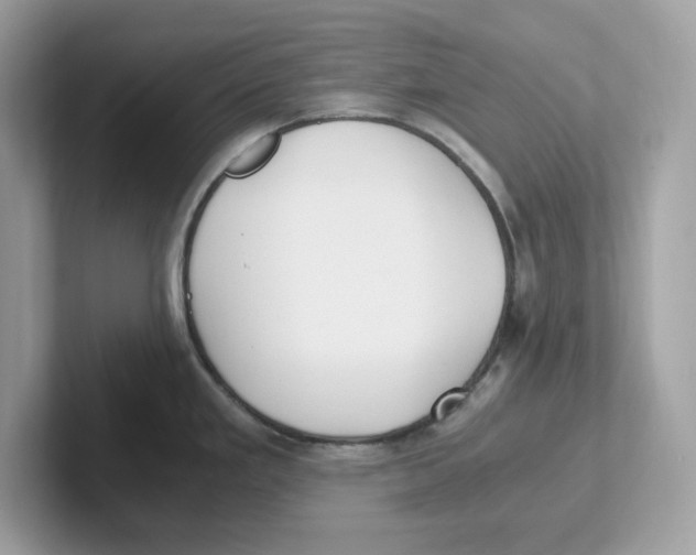 X0000100941293200807221150