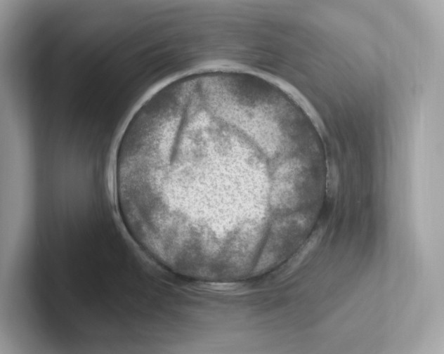 X0000100941295200807221150