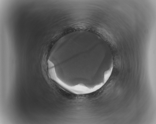 X0000100941297200807221149