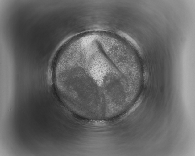 X0000100941310200807221149