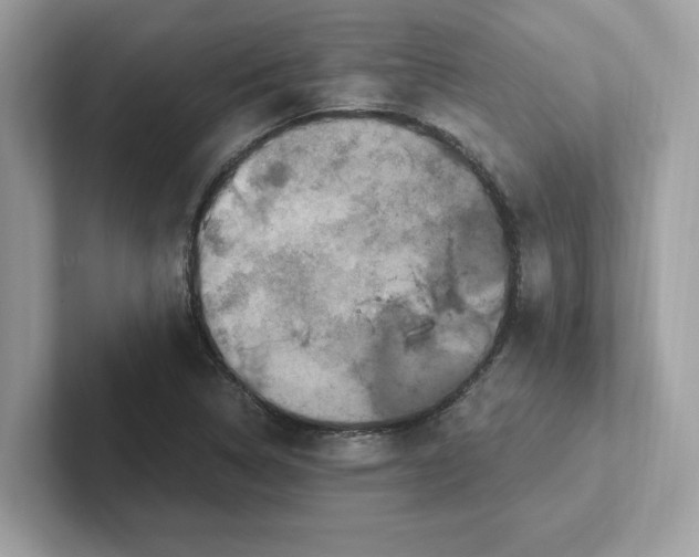 X0000100941314200807221149