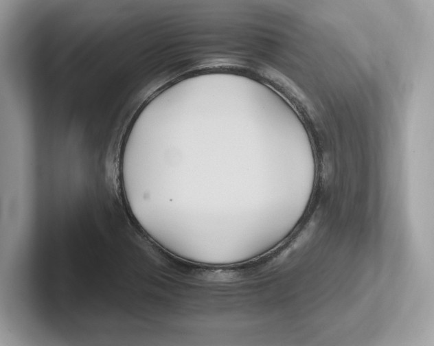 X0000100941321200807221149