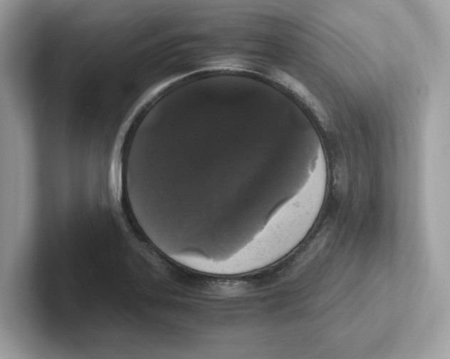 X0000100941323200807221149