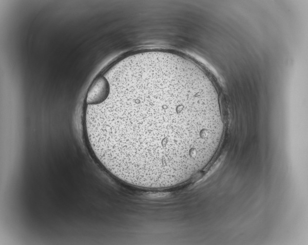 X0000100941325200807221149