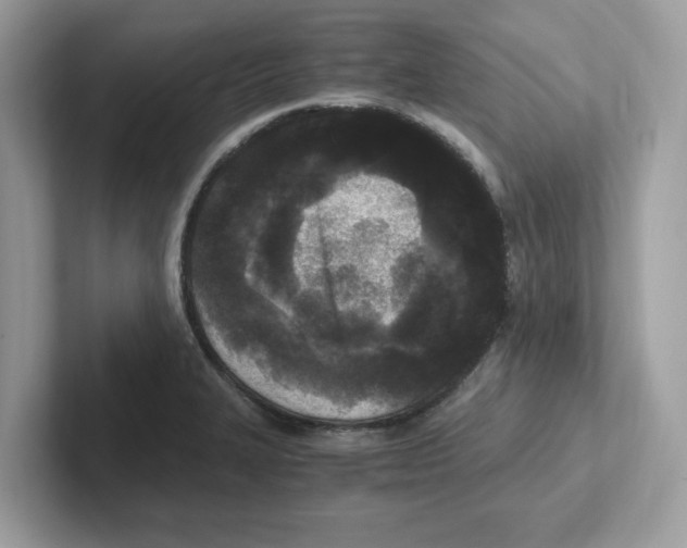 X0000100941327200807221149