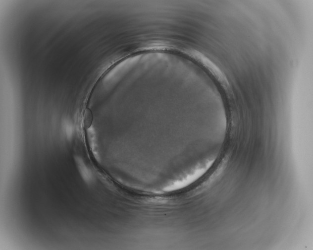 X0000100941329200807221149