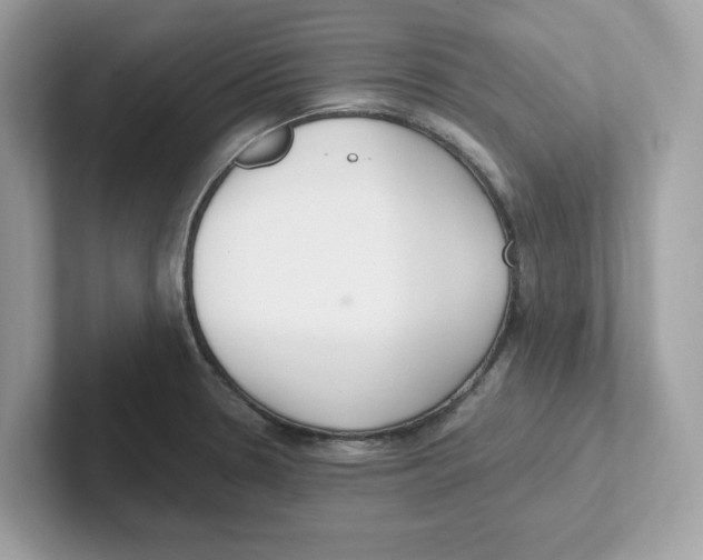 X0000100941330200807221149