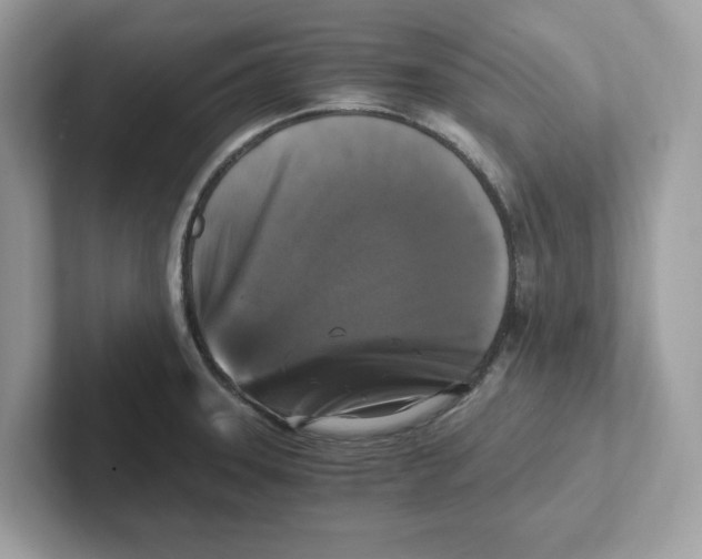 X0000100941331200807221149