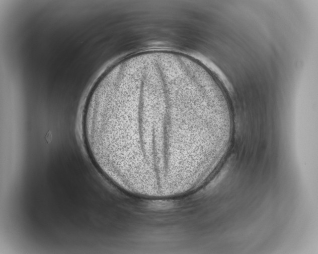 X0000100941333200807221149