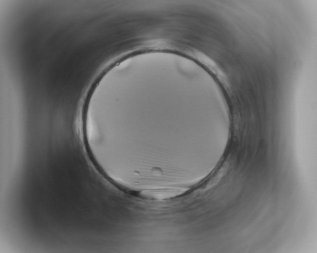 X0000100941334200807221149