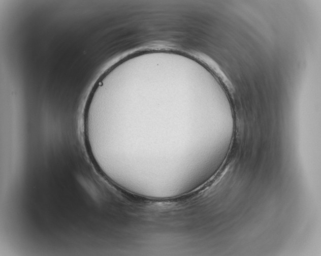 X0000100941335200807221149